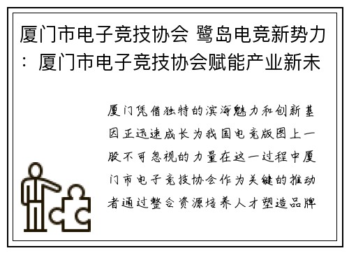 厦门市电子竞技协会 鹭岛电竞新势力：厦门市电子竞技协会赋能产业新未来